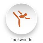 Taekwondo